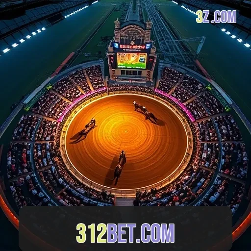 312bet.com: Explorando a Eficiência do Suporte 24/7